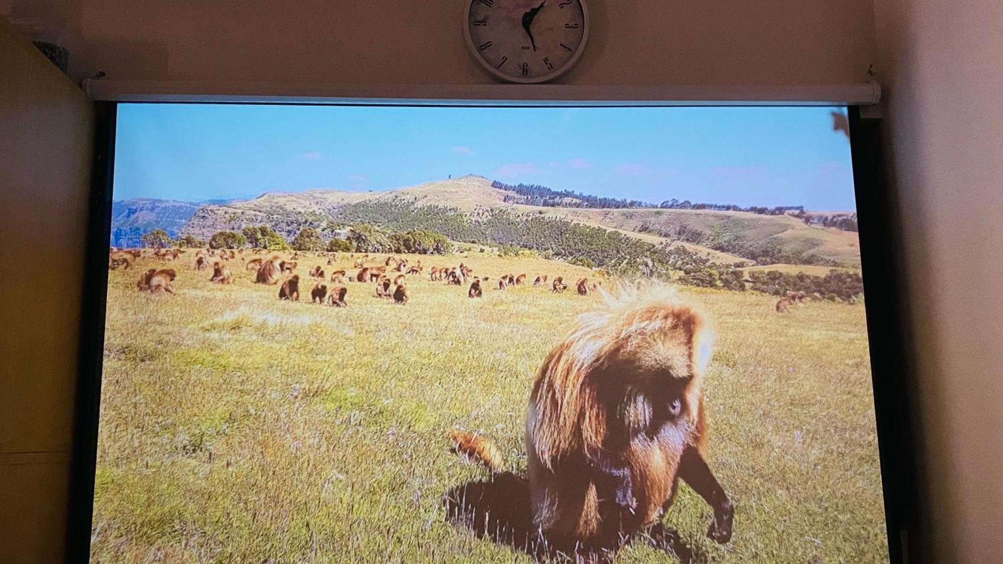 雲波館 Ξενοδοχείο Ναγκόγια Εξωτερικό φωτογραφία